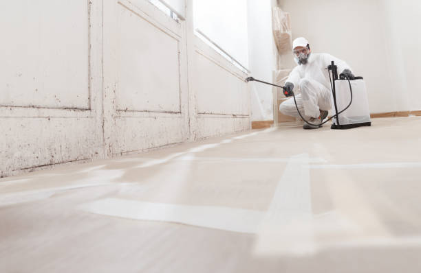 24/7 Emergency Attic Mold Removal experts in Clermont, FL